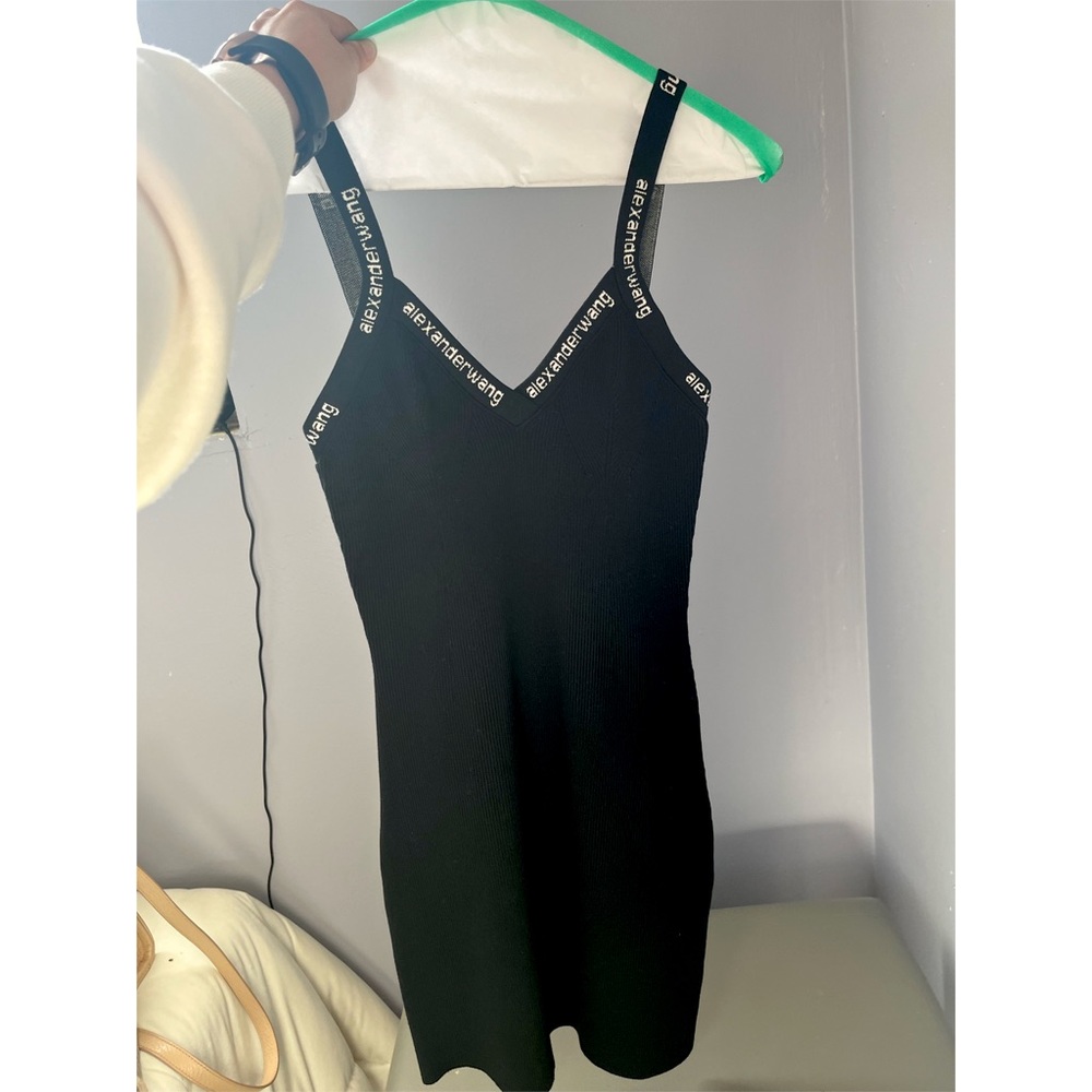 Alexander wang miny dress worn once and dry cleaned by professionals